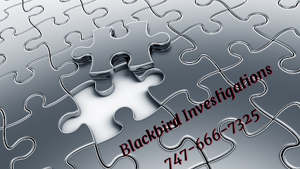 Blackbird Investigations