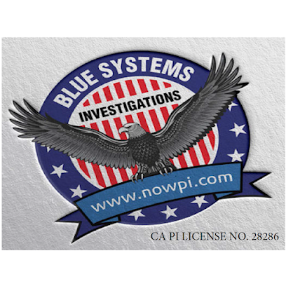 Blue Systems International