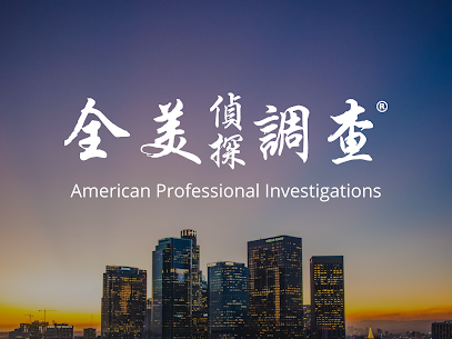 全美侦探调查 American Professional Investigations